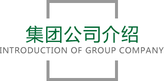 2026年国际足联世界杯